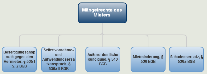 Maengelrechte_Mieter
